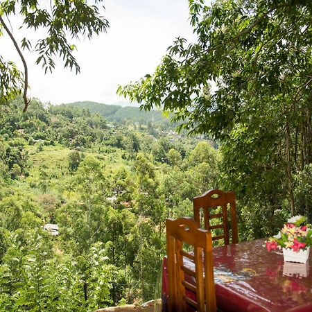 Rose Dale Homestay Ella Exteriér fotografie